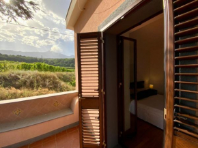 Tenuta Kiwi dell’Etna Milo